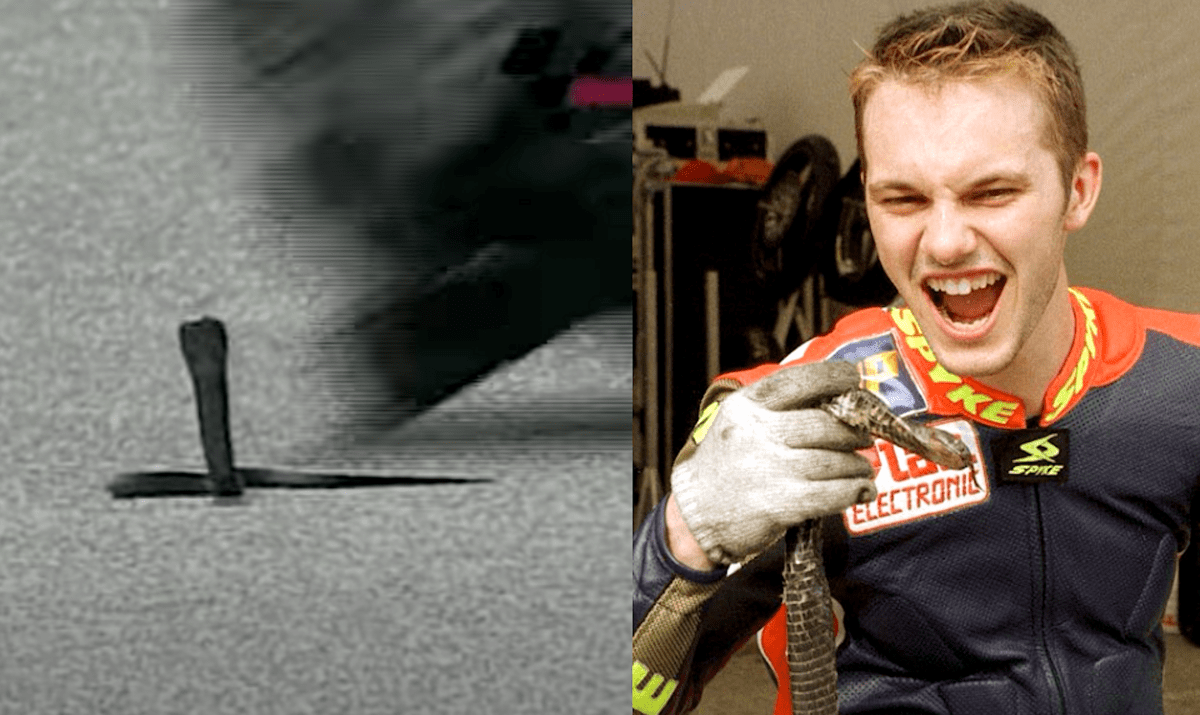 Gino Borsoi and his Cobra "WTF... ¿Eso acaba de suceder?" | 10 de los incidentes de carreras más curiosamente bizarros | Noticias BikeSport