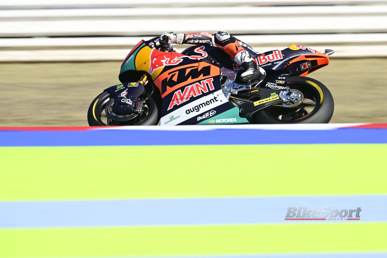 Pedro Acosta, Red Bull KTM Ajo, 2023 Moto2, San Marino, Misano, action [credit - Gold & Goose]